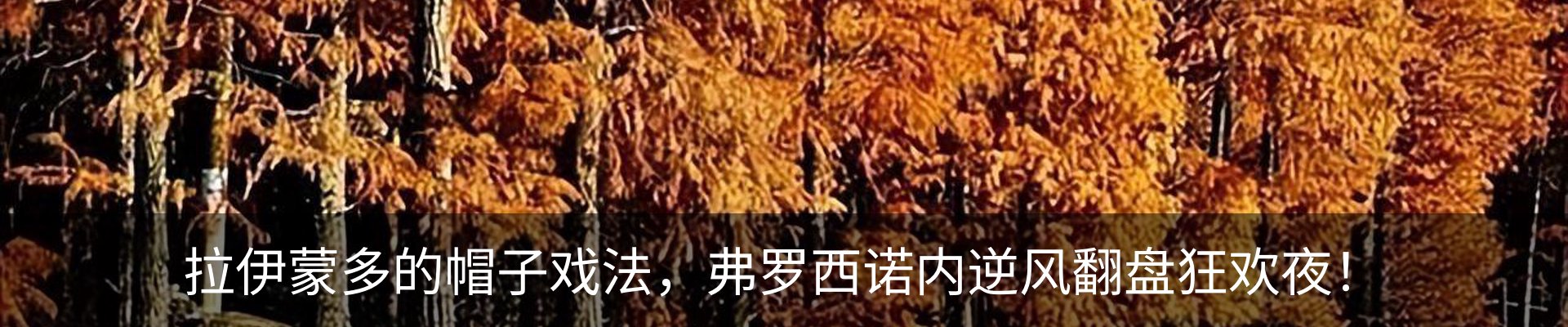 行业资讯